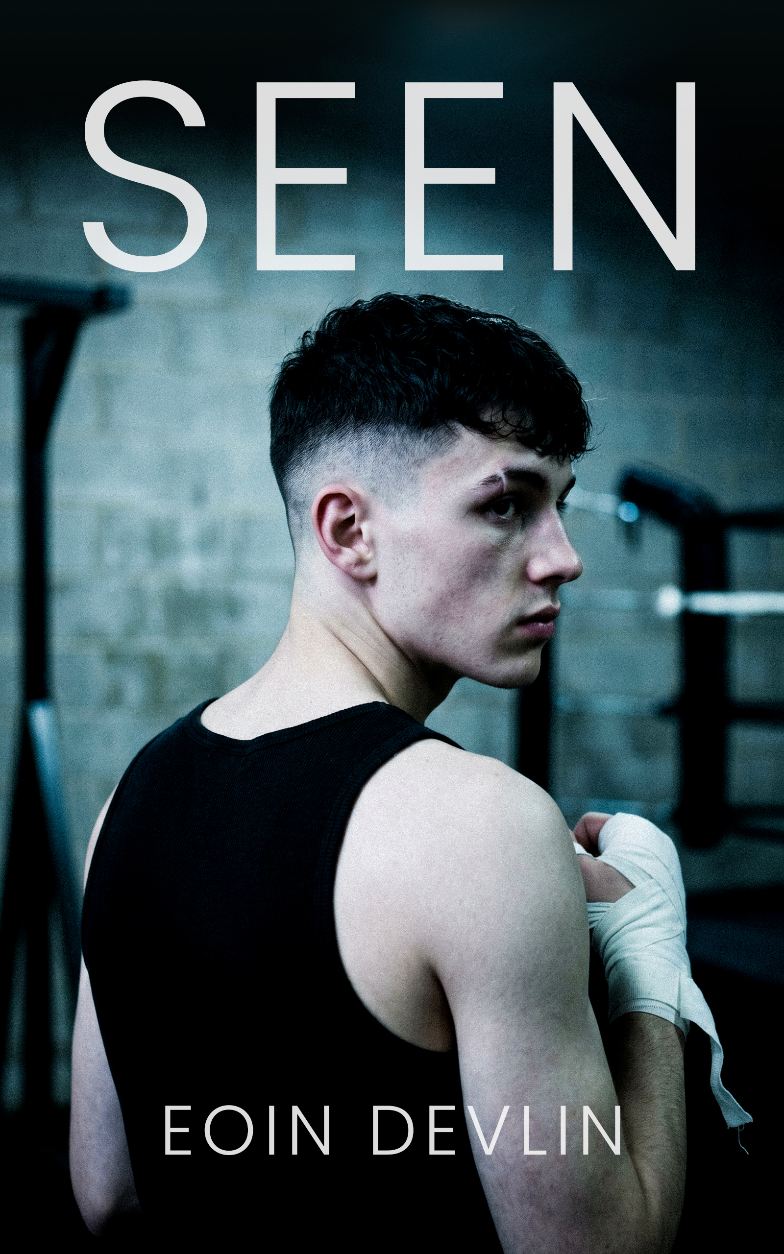 Cover of Seen by Eoin Devlin